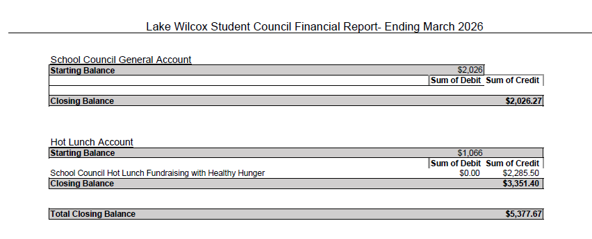 School Council Financials